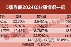 2024年券商业绩大揭秘：自营业务成增长关键，市场波动与政策转向下的行业分化