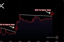 XRP价格飙升：百万富翁的诞生？对2017年牛市模式的深入分析
