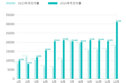 2024年中国新能源汽车市场销量盘点：比亚迪领跑，多家车企创单月交付新高