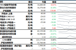 铅锌市场深度分析：春节临近，供需格局与投资策略